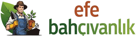 Efe Bahçıvanlık